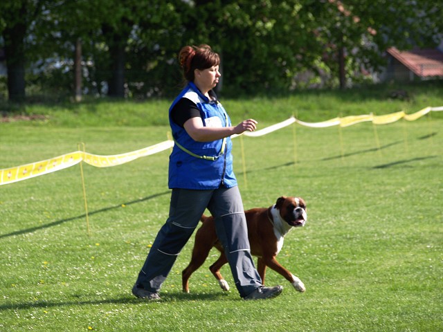 www.atibox.net * www.euroboxer.eu * www.boxergenealogia.eu